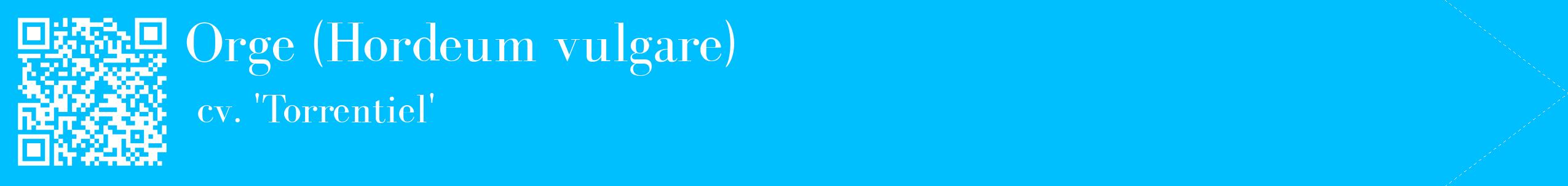étiquette 2