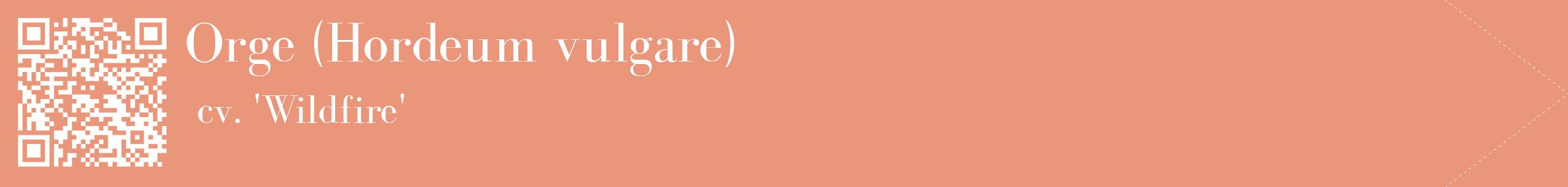 étiquette 2