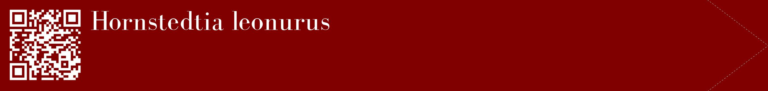 étiquette 2