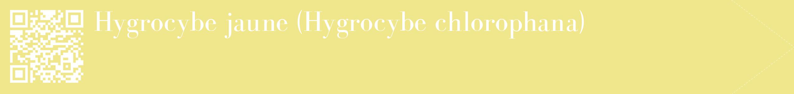 étiquette 2