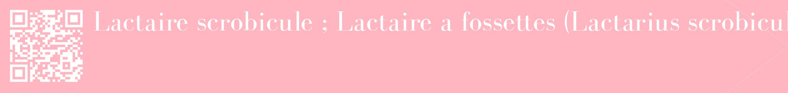 étiquette 2