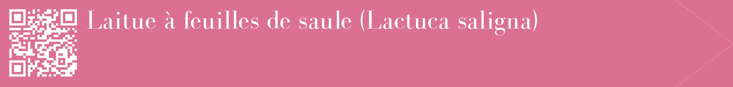 étiquette 2