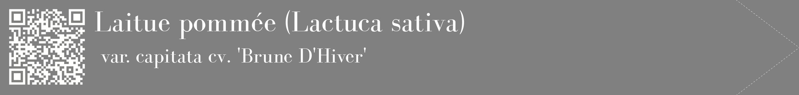 étiquette 2