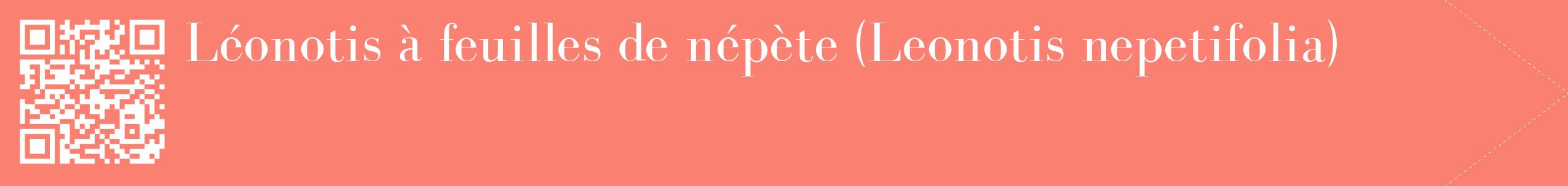 étiquette 2