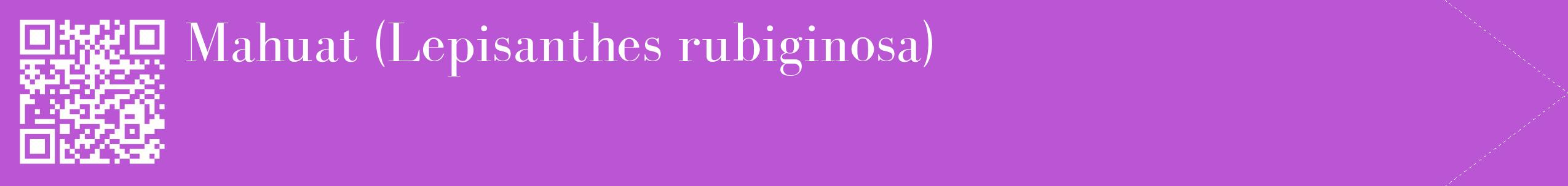étiquette 2