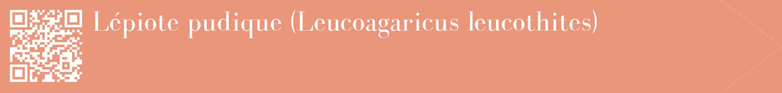 étiquette 2