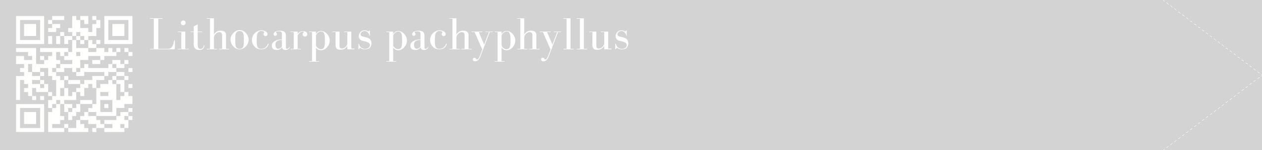 étiquette 2