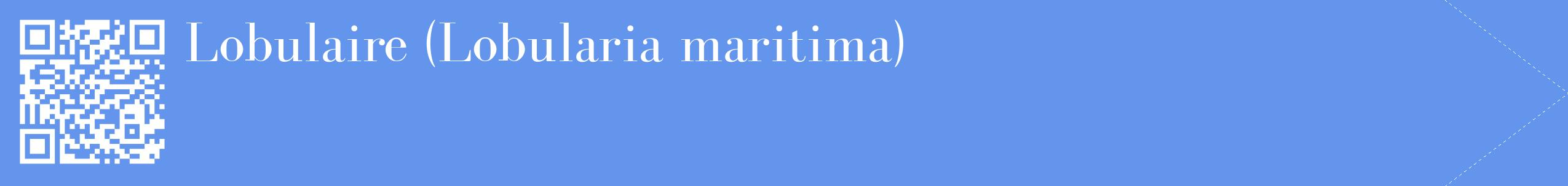 étiquette 2