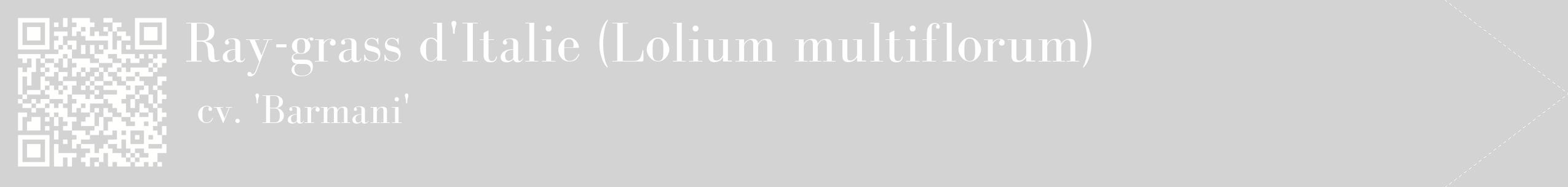 étiquette 2