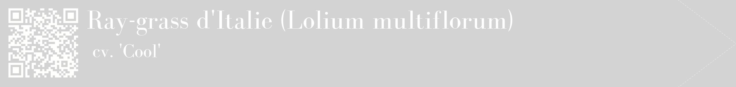 étiquette 2