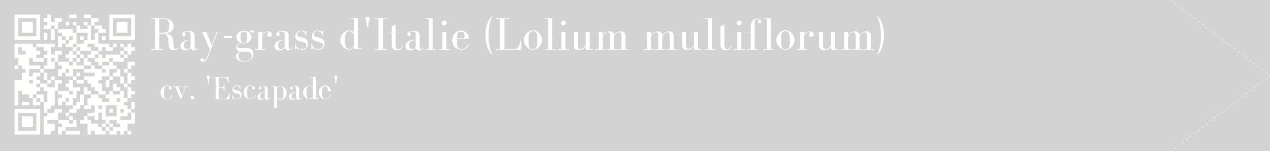 étiquette 2