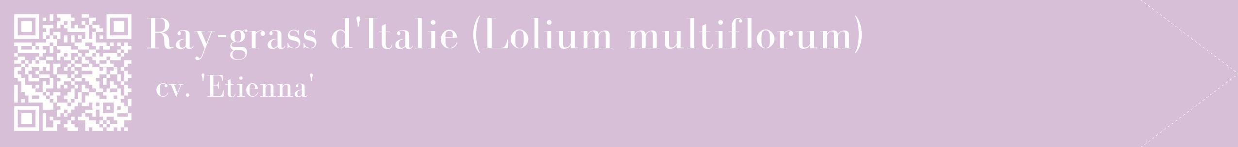 étiquette 2