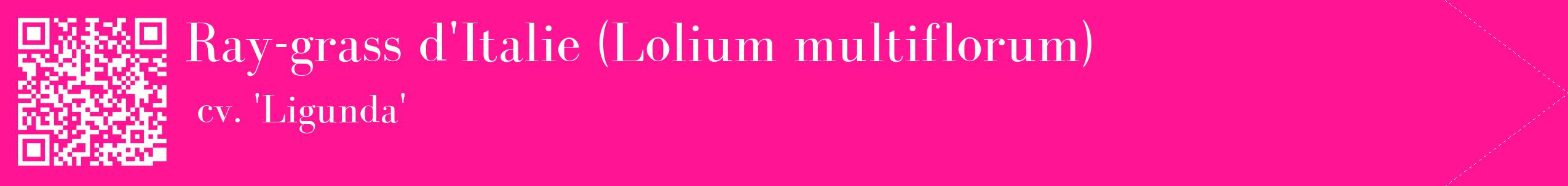 étiquette 2