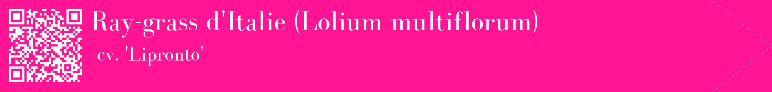 étiquette 2