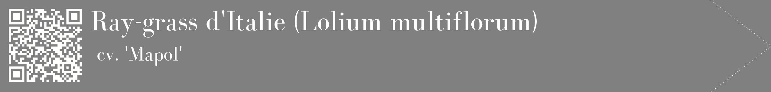 étiquette 2