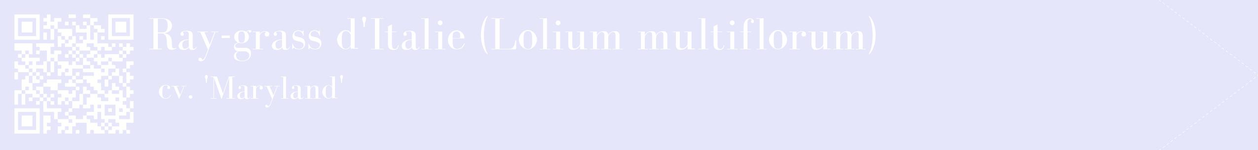 étiquette 2