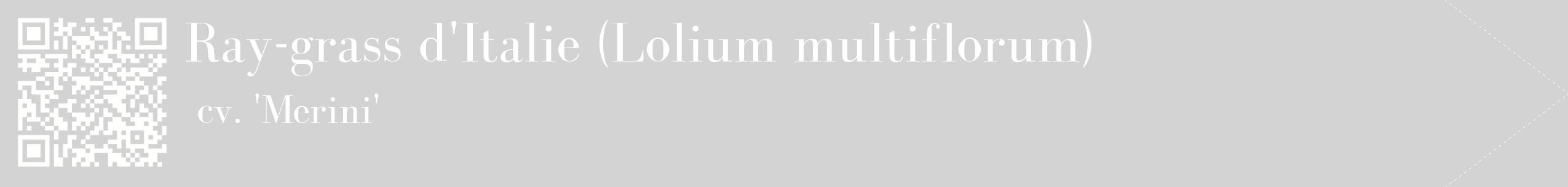 étiquette 2