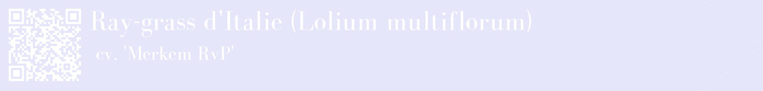 étiquette 2