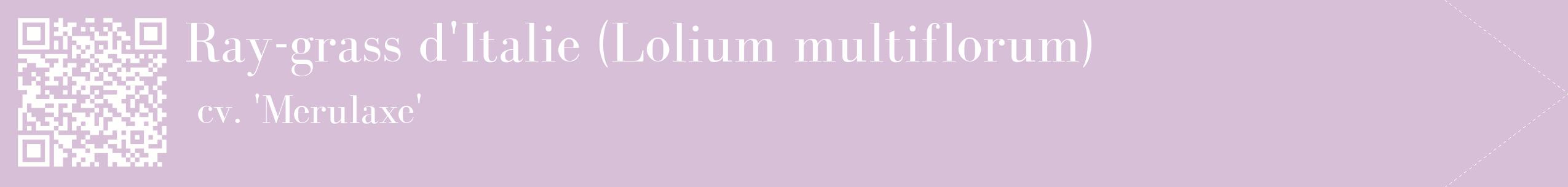 étiquette 2