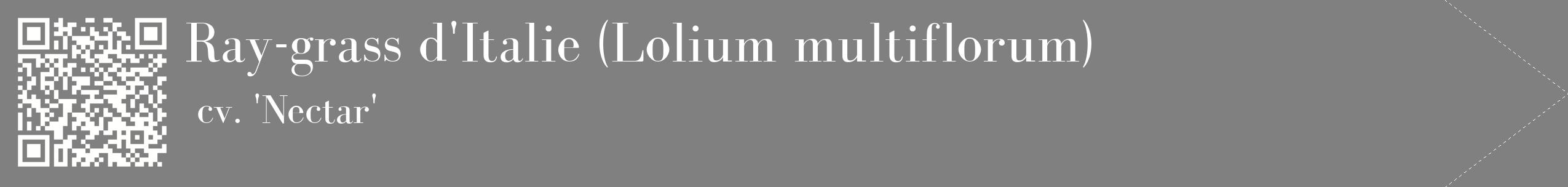 étiquette 2