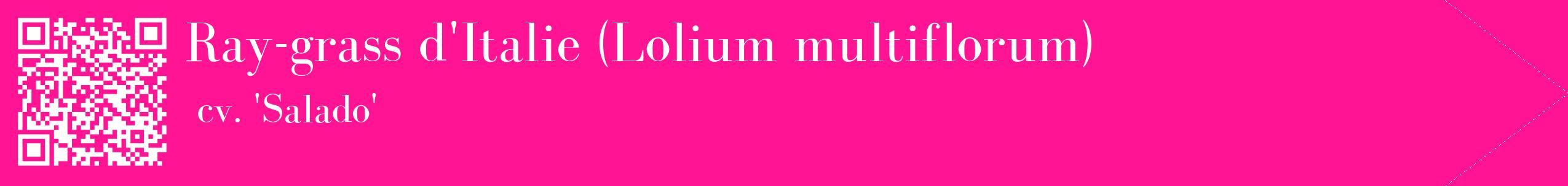 étiquette 2