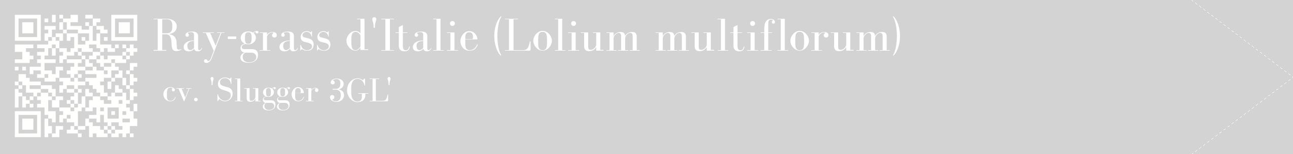 étiquette 2