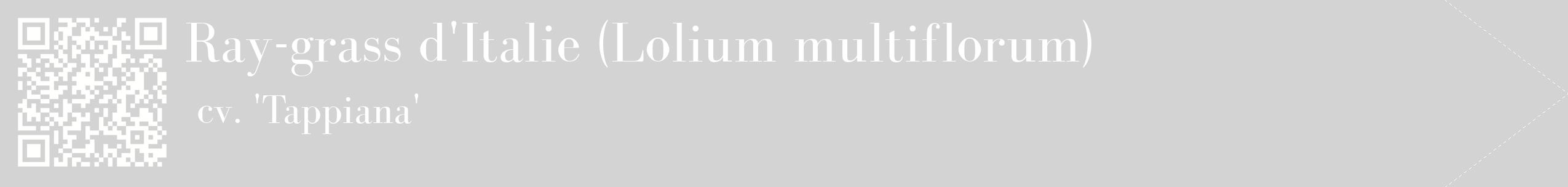 étiquette 2
