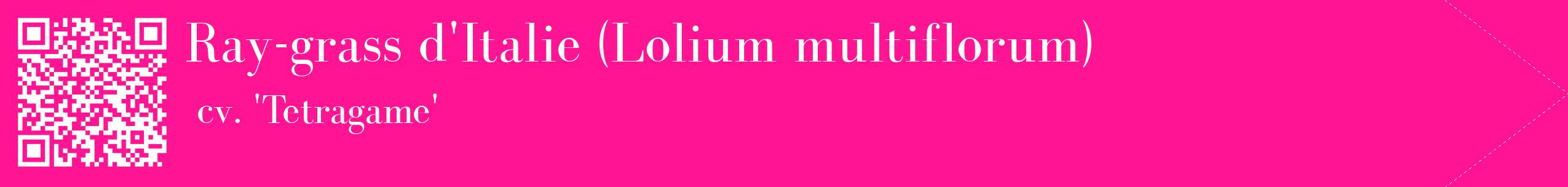 étiquette 2