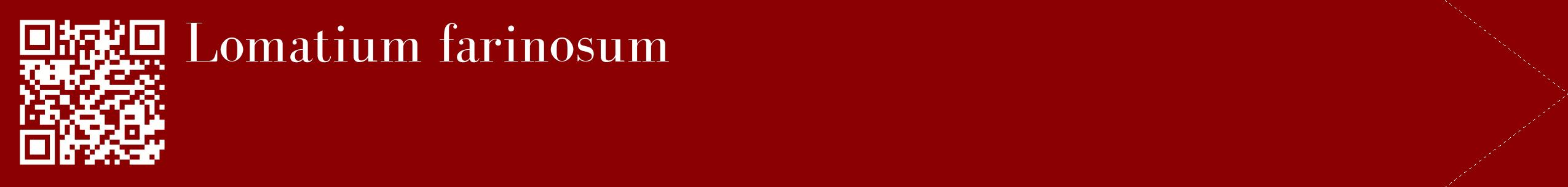étiquette 2