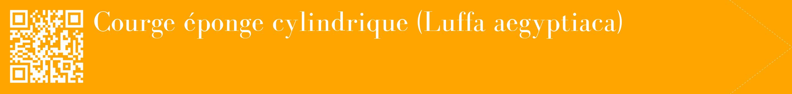 étiquette 2