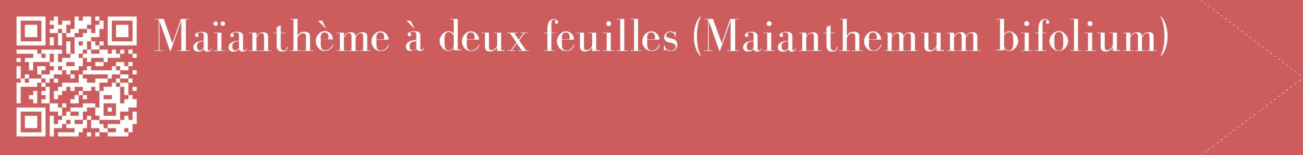 étiquette 2