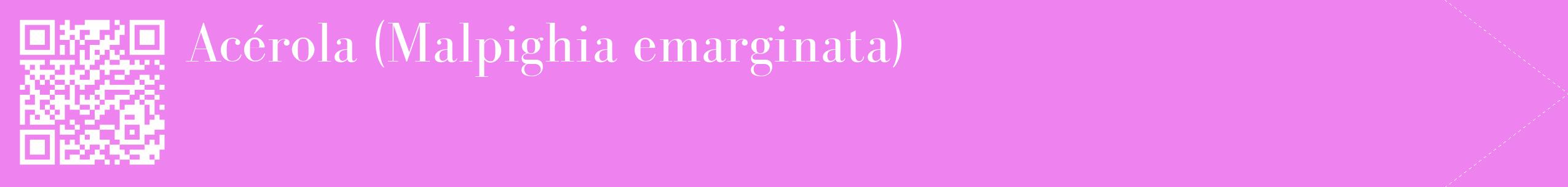 étiquette 2