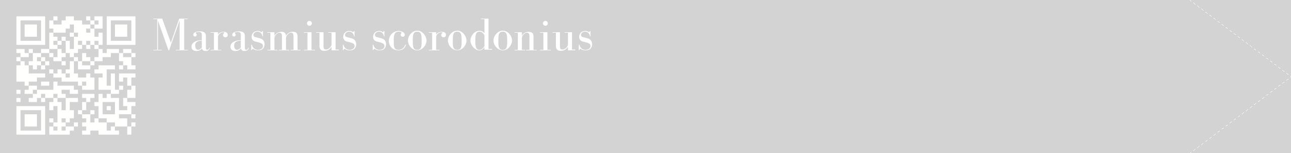 étiquette 2