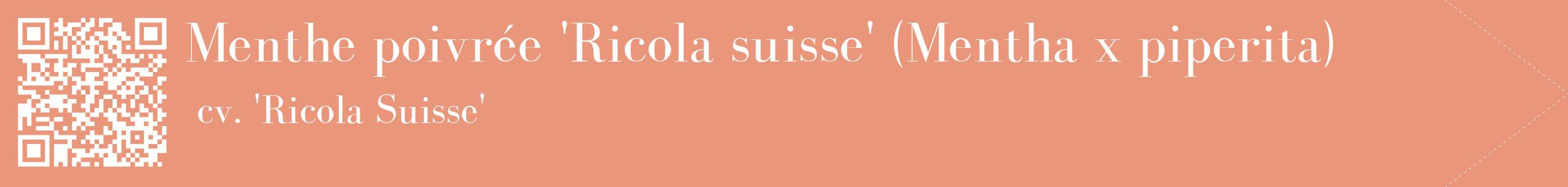 étiquette 2