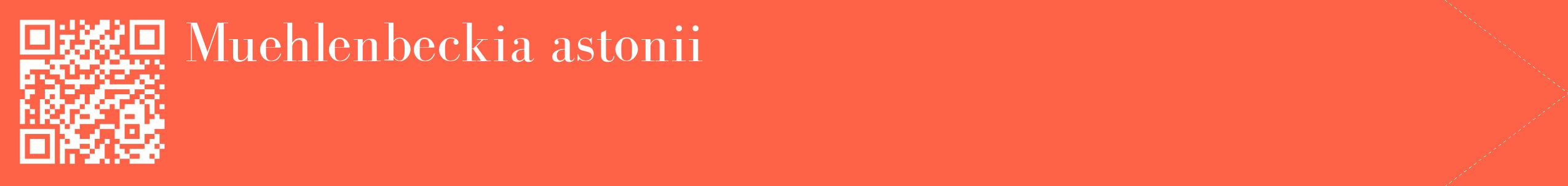 étiquette 2