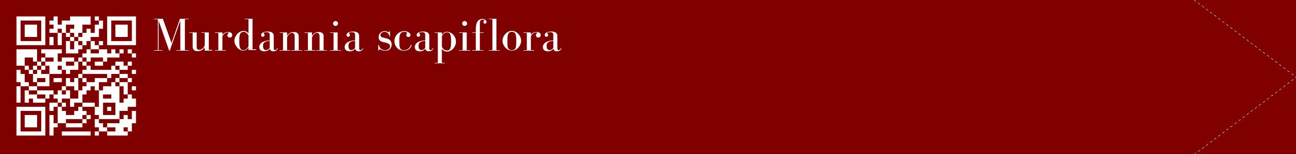 étiquette 2