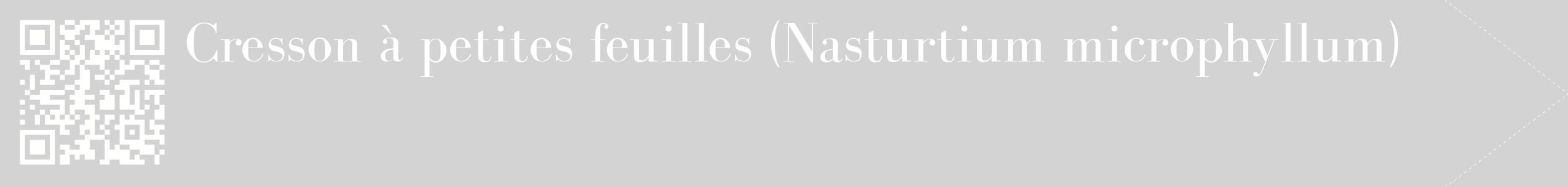 étiquette 2
