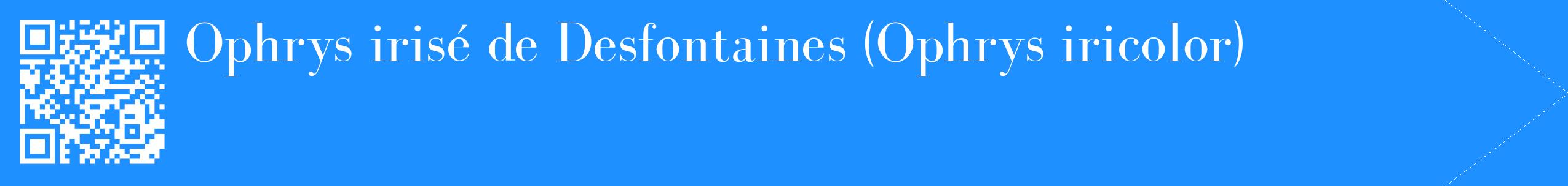 étiquette 2