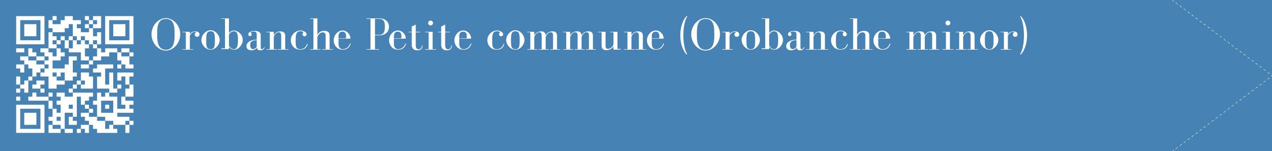étiquette 2