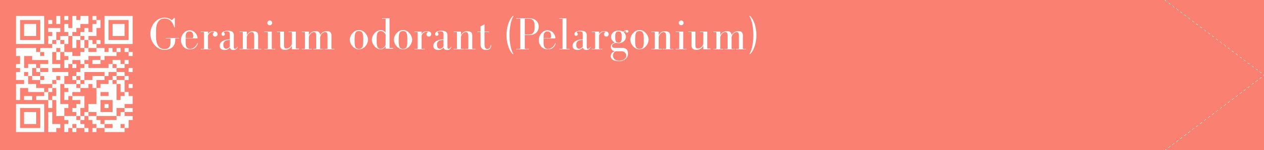 étiquette 2