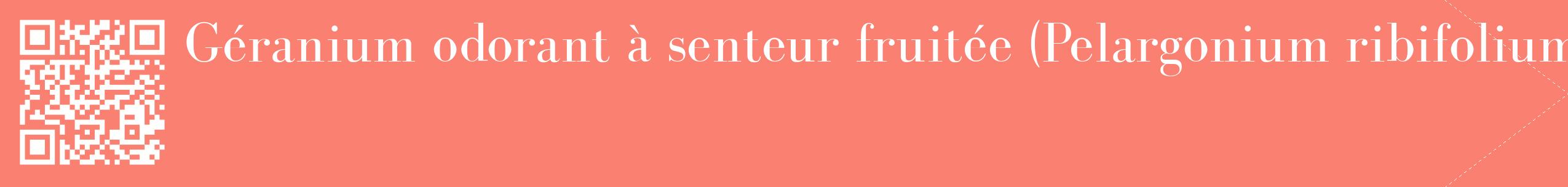 étiquette 2