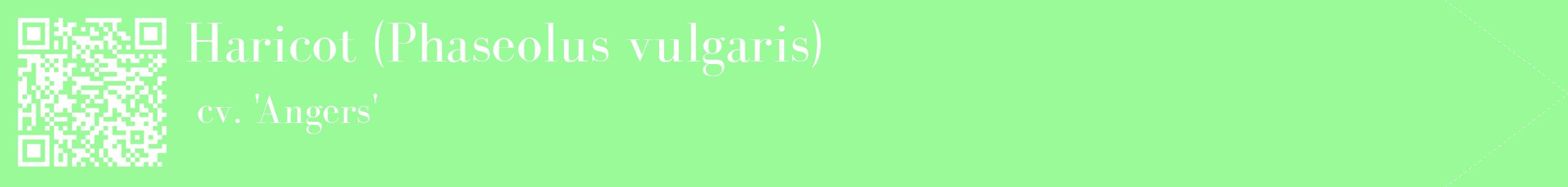 étiquette 2