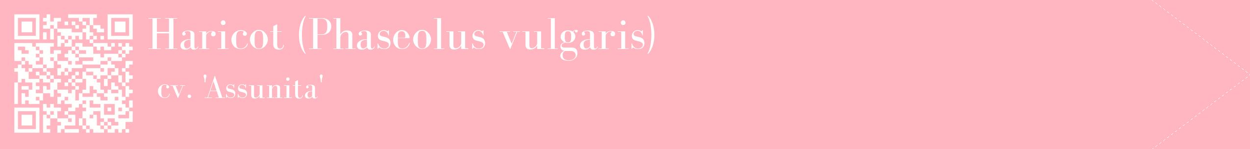 étiquette 2