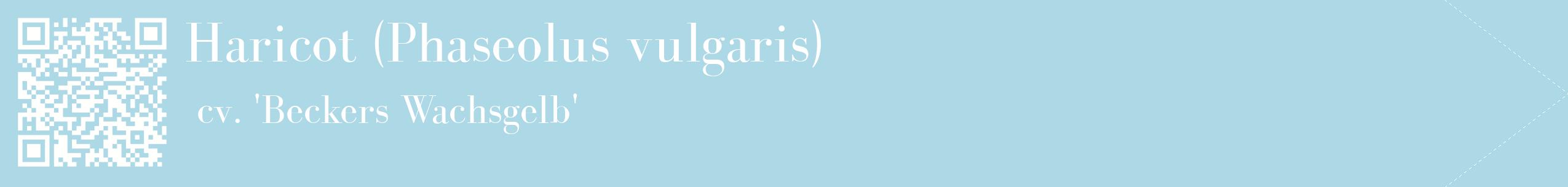 étiquette 2
