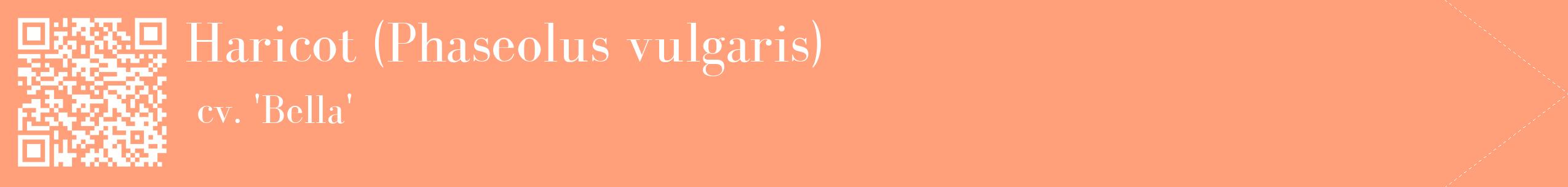 étiquette 2