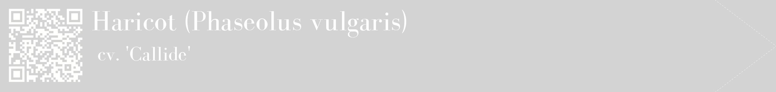 étiquette 2