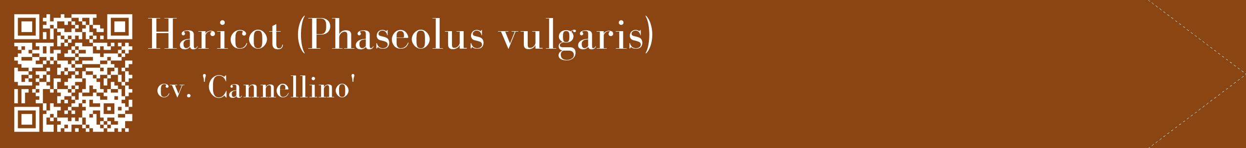 étiquette 2