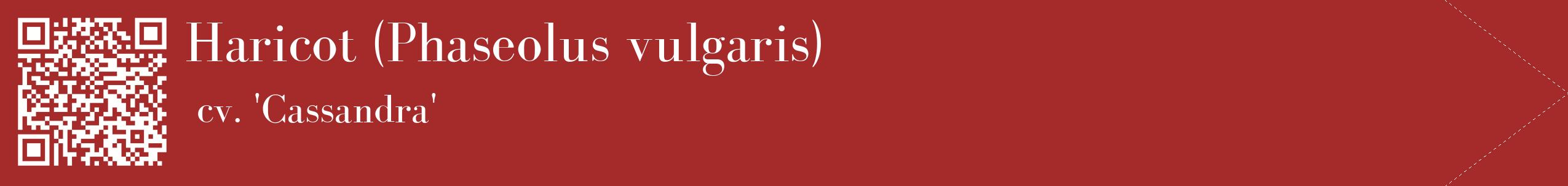 étiquette 2