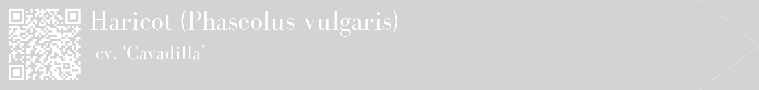 étiquette 2