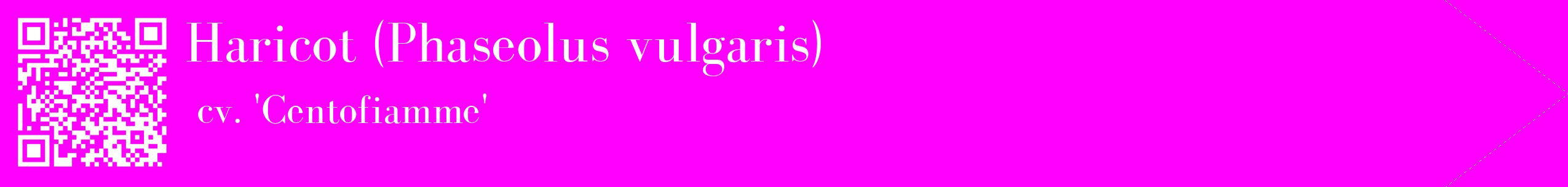 étiquette 2